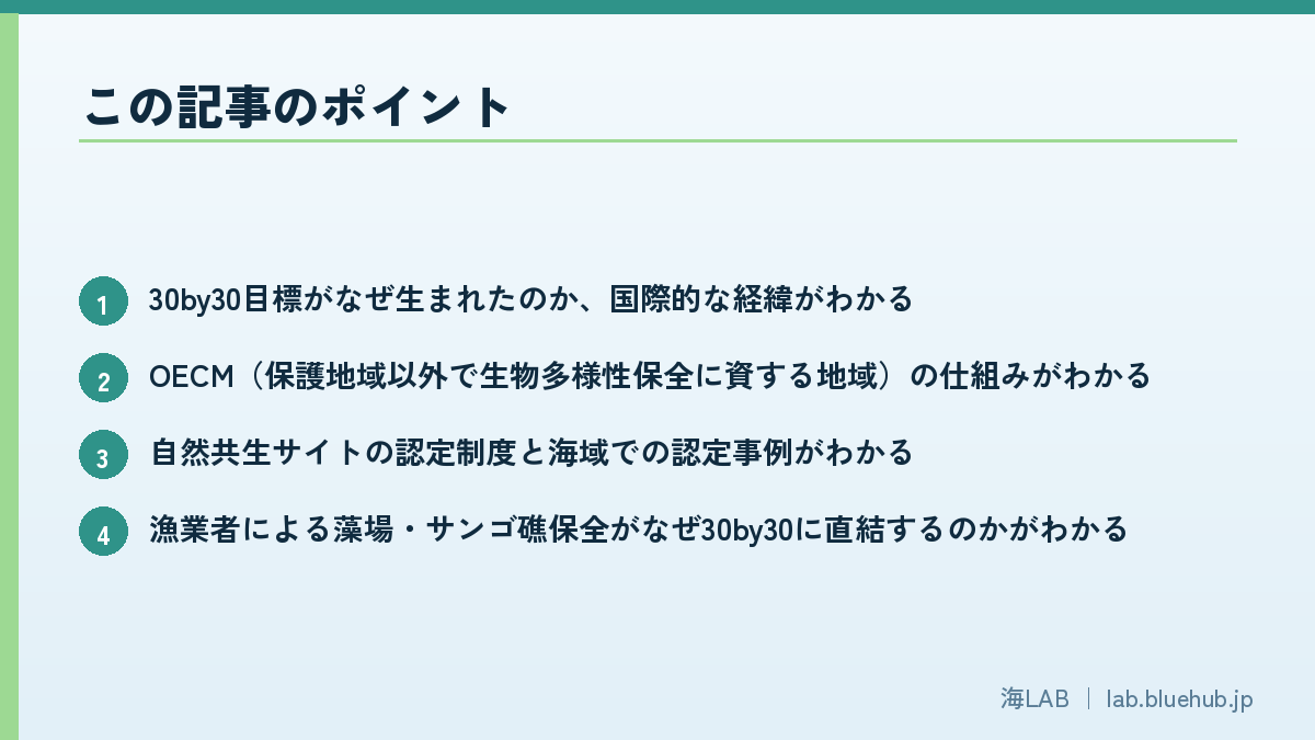 この記事のポイントを箇条書きでまとめた図版