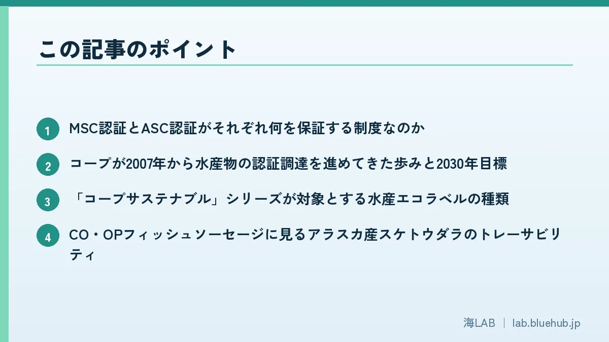 この記事のポイントを箇条書きでまとめた図版