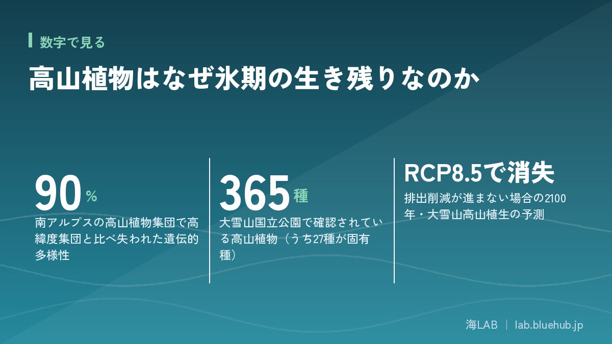 Chart summarizing the three key figures covered in this article