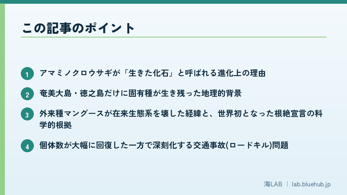 以要点列表形式总结本文内容的图版