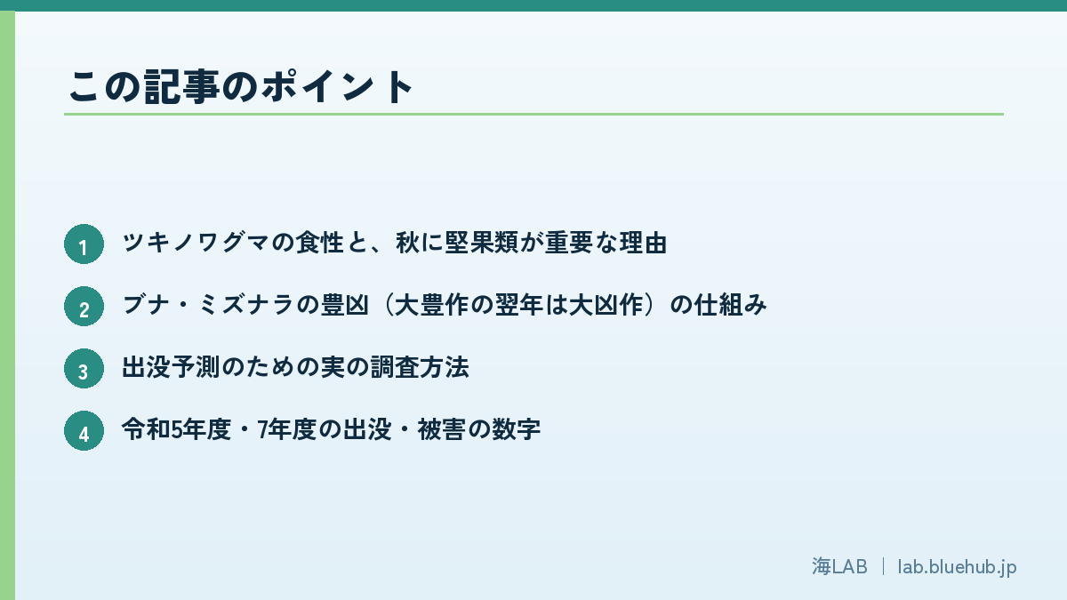 この記事のポイントを箇条書きでまとめた図版