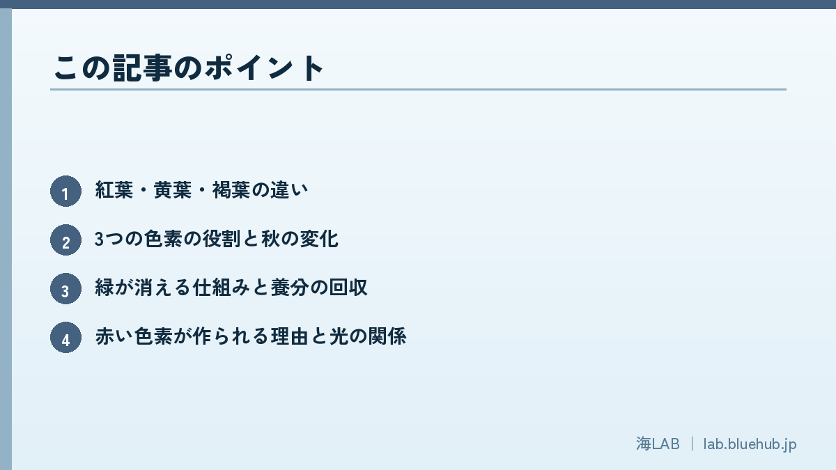 この記事のポイントを箇条書きでまとめた図版