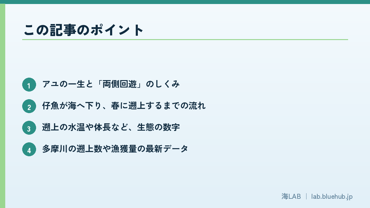 この記事のポイントを箇条書きでまとめた図版