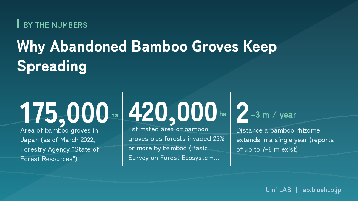 Chart summarising the three key figures on Why Abandoned Bamboo Groves Keep Spreading