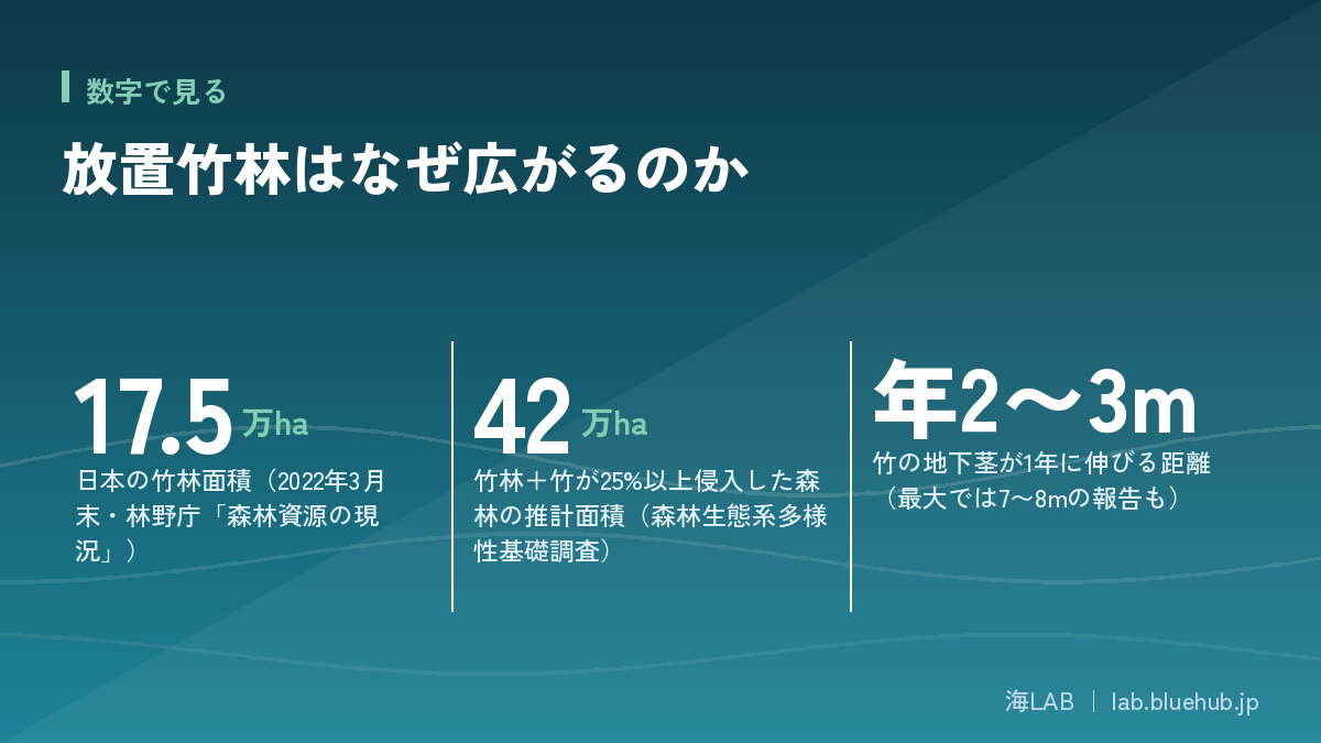 放置竹林はなぜ広がるのかの要点となる3つの数字をまとめた図版