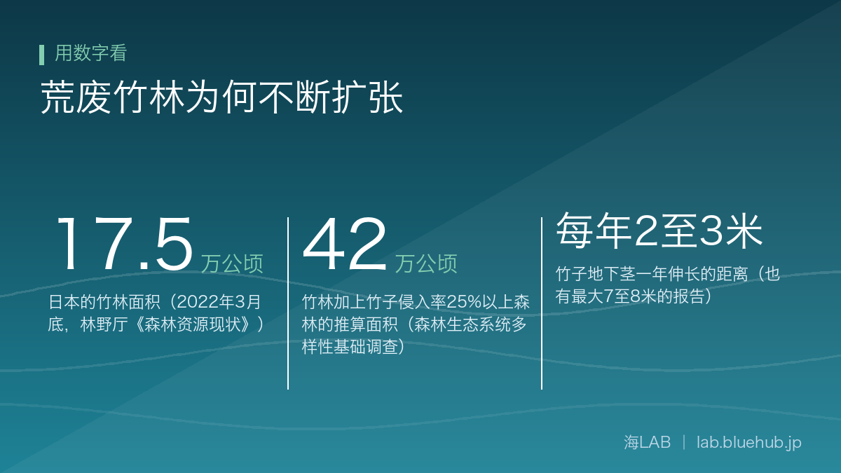 汇总荒废竹林为何不断扩张三个关键数字的图示