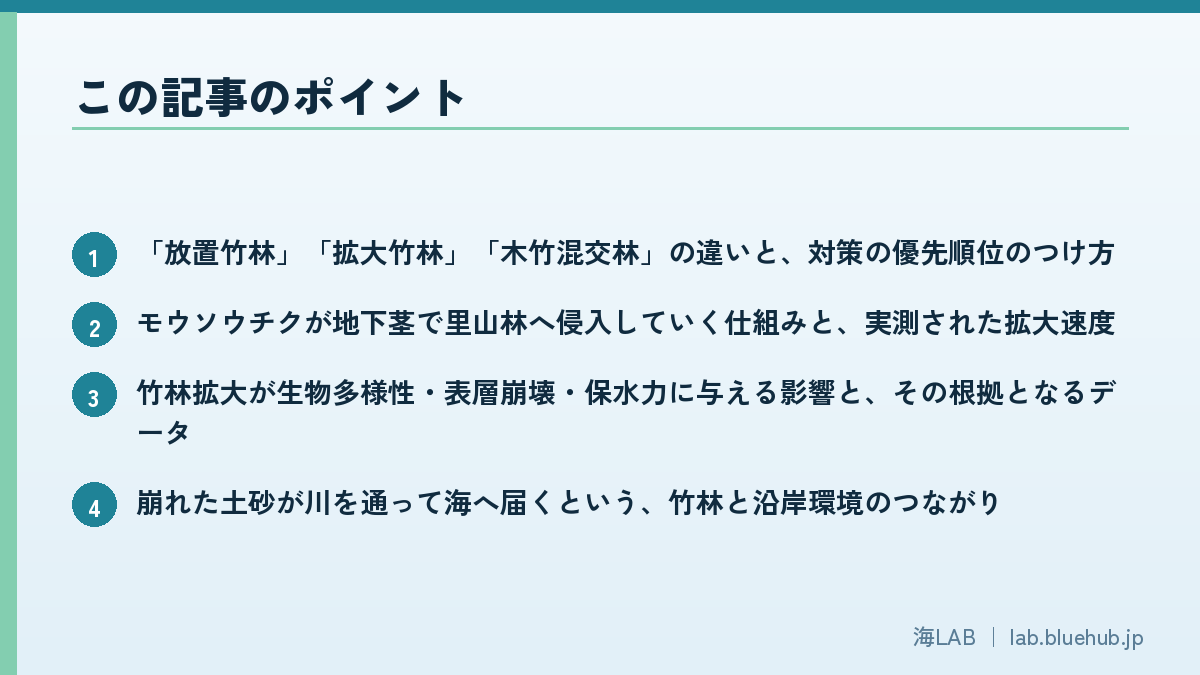 この記事のポイントを箇条書きでまとめた図版