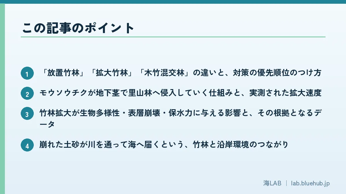 この記事のポイントを箇条書きでまとめた図版