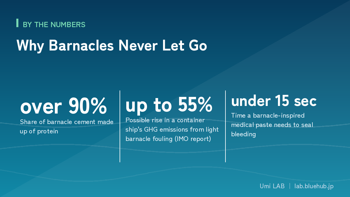 Chart summarising the three key figures on Why Barnacles Never Let Go