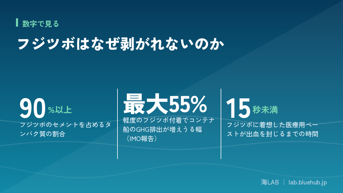 フジツボはなぜ剥がれないのかの要点となる3つの数字をまとめた図版