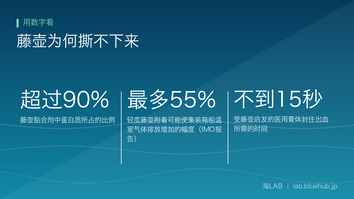 汇总藤壶为何撕不下来三个关键数字的图示
