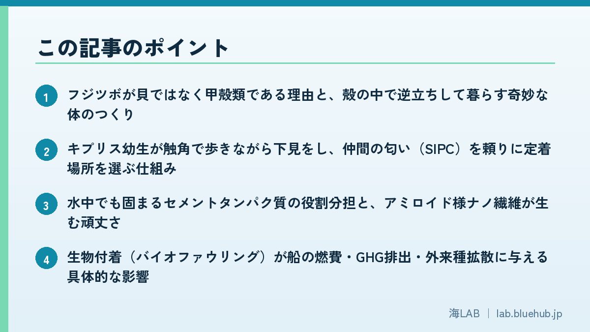 この記事のポイントを箇条書きでまとめた図版