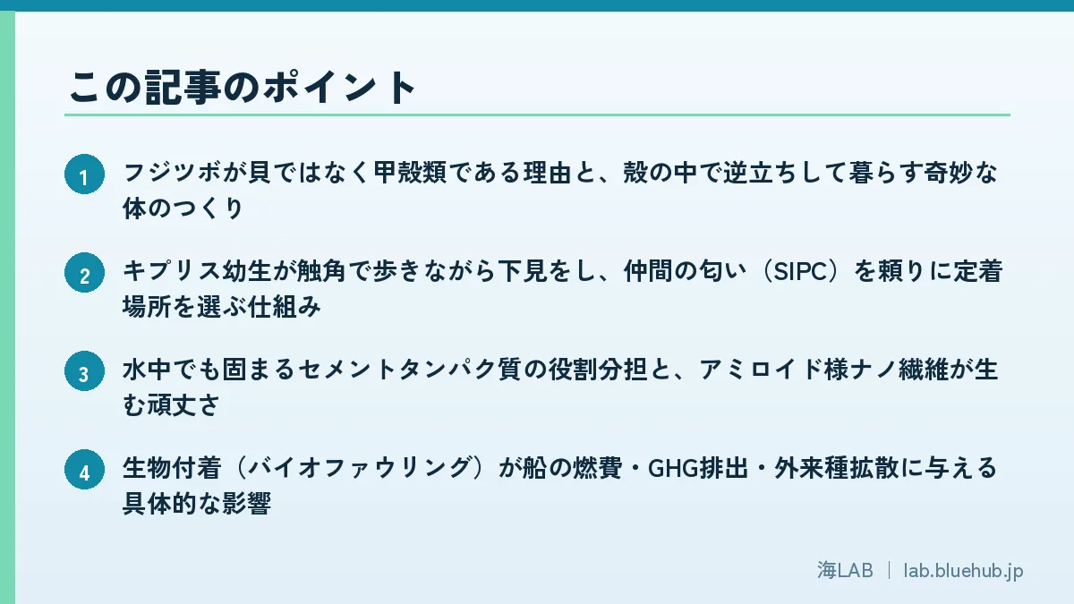 この記事のポイントを箇条書きでまとめた図版