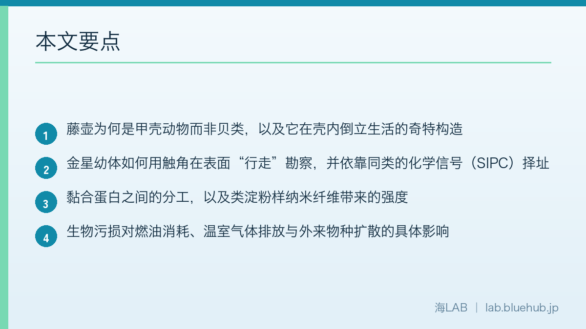 以要点形式汇总本文内容的图示