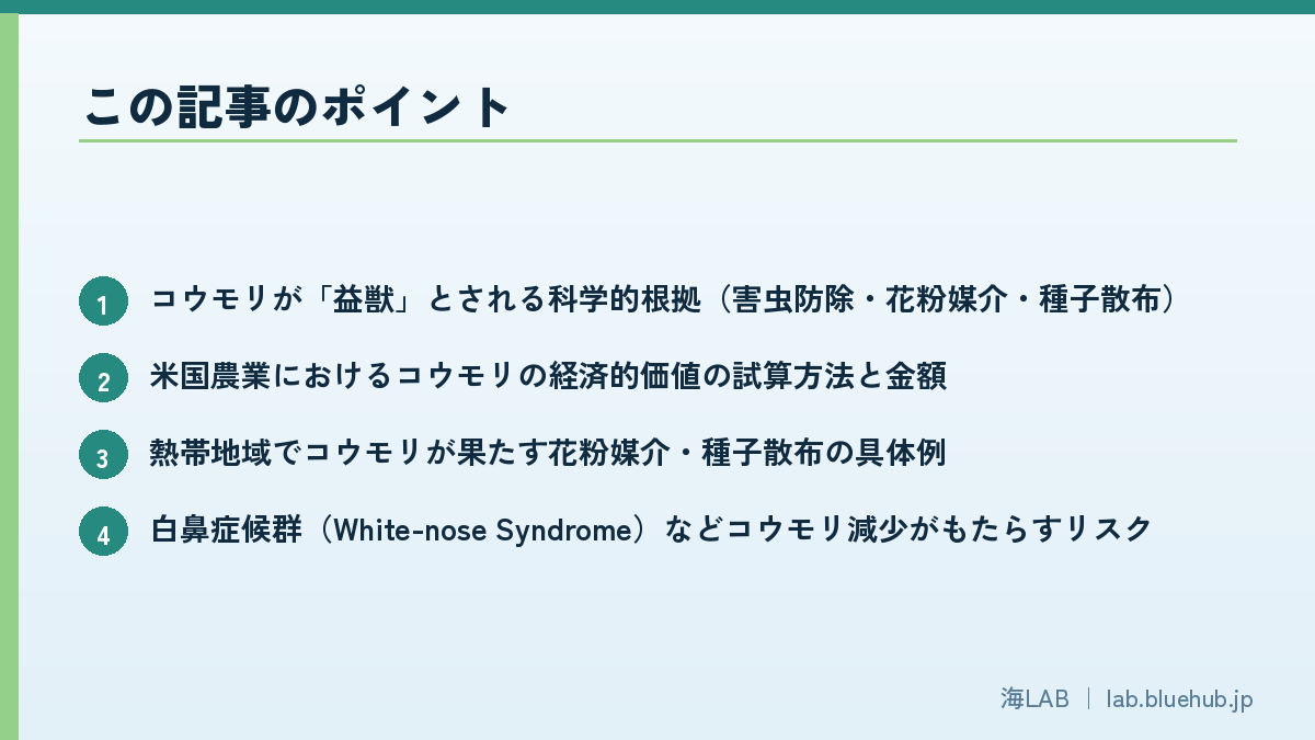 この記事のポイントを箇条書きでまとめた図版