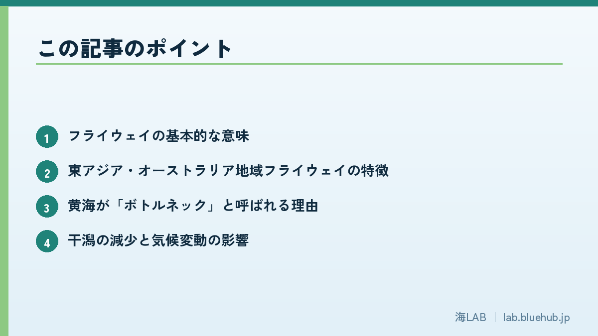 この記事のポイントを箇条書きでまとめた図版
