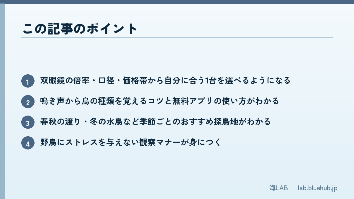 この記事のポイントを箇条書きでまとめた図版