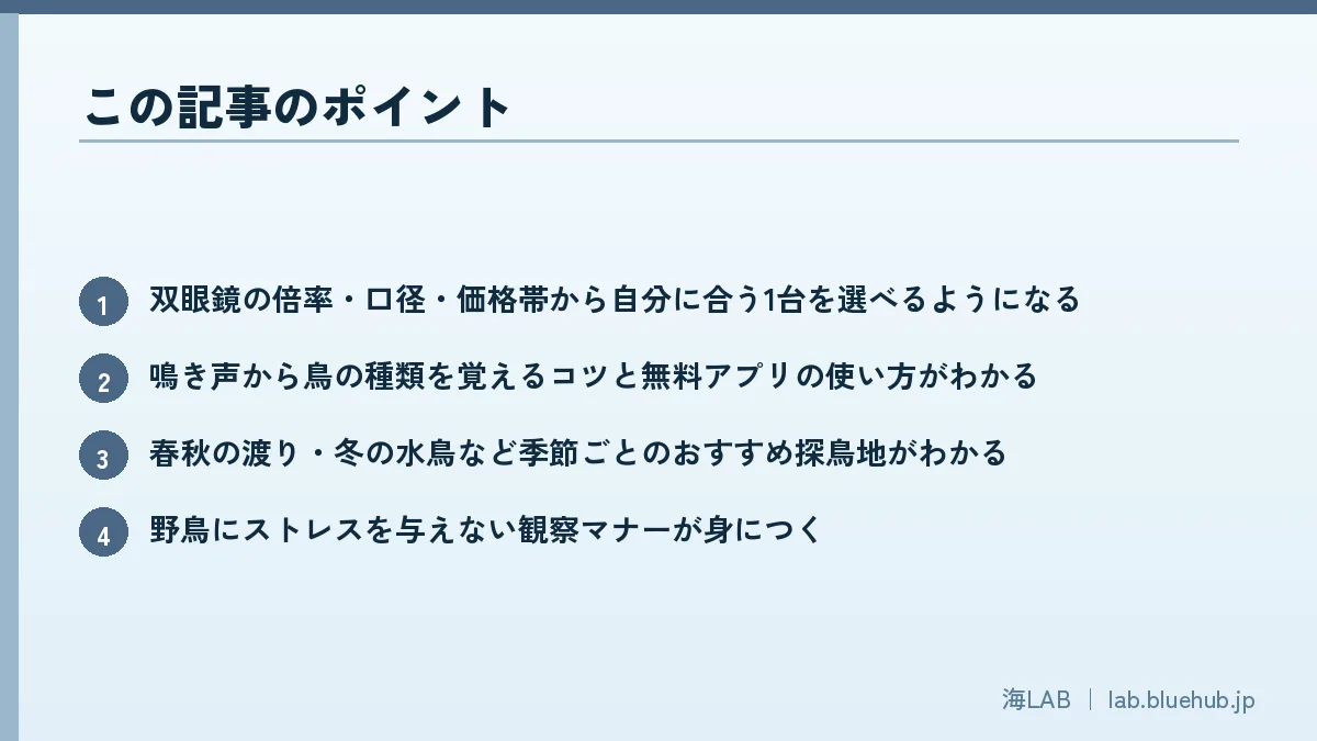 この記事のポイントを箇条書きでまとめた図版