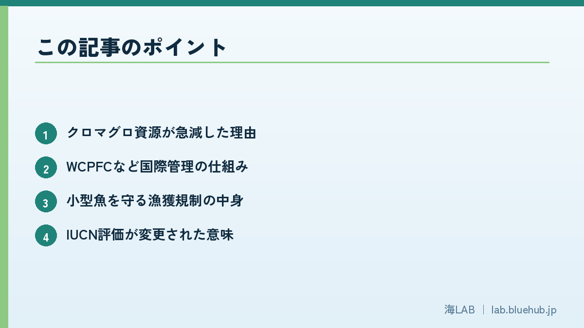 以要点形式汇总本文重点的图版