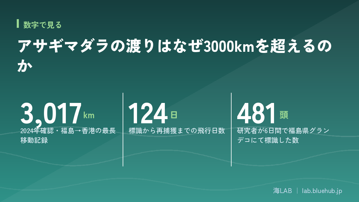 Infographic summarizing the three key figures discussed in this article