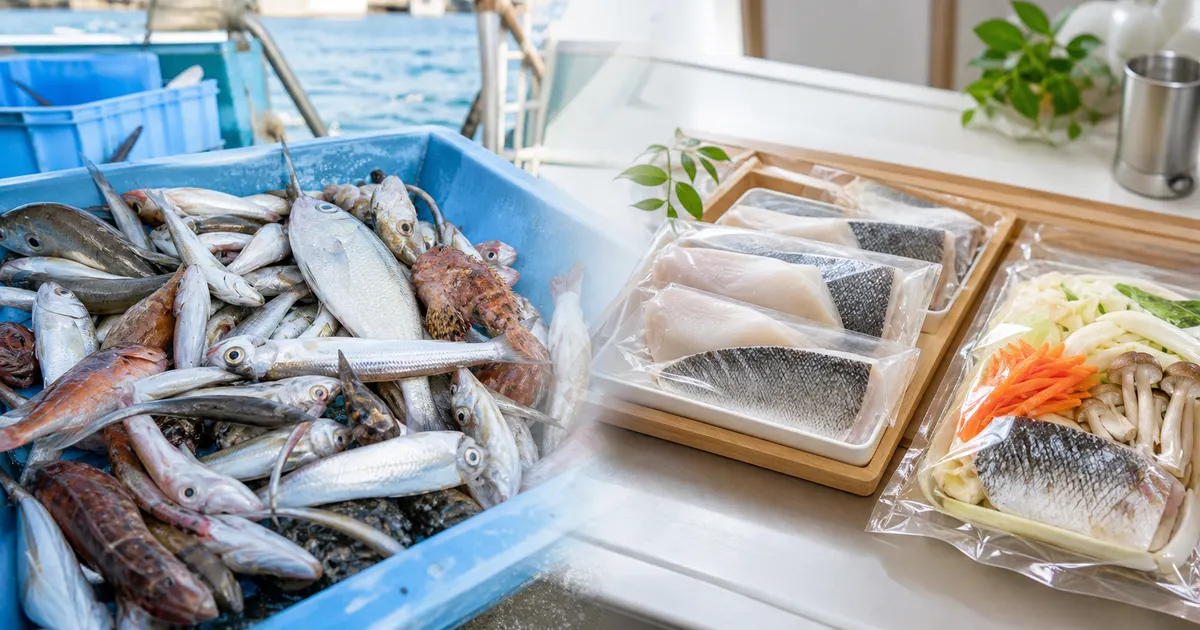 Turning Bycatch into Food: How Unused Fish Become Products Worth Selling