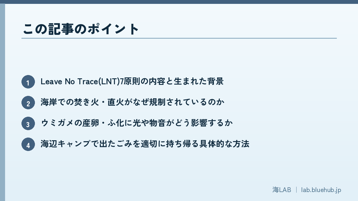 この記事のポイントを箇条書きでまとめた図版
