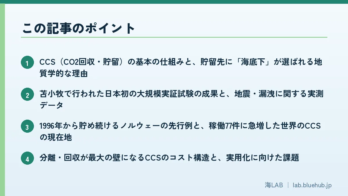 この記事のポイントを箇条書きでまとめた図版