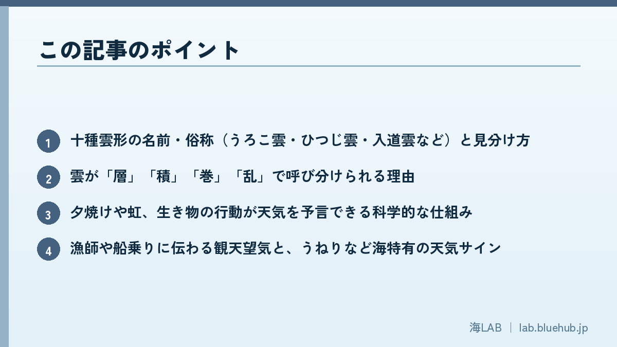 この記事のポイントを箇条書きでまとめた図版