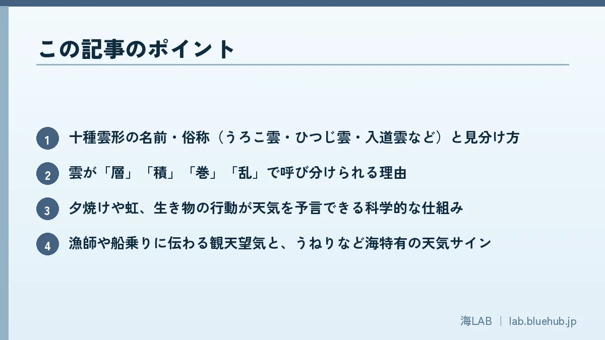 この記事のポイントを箇条書きでまとめた図版