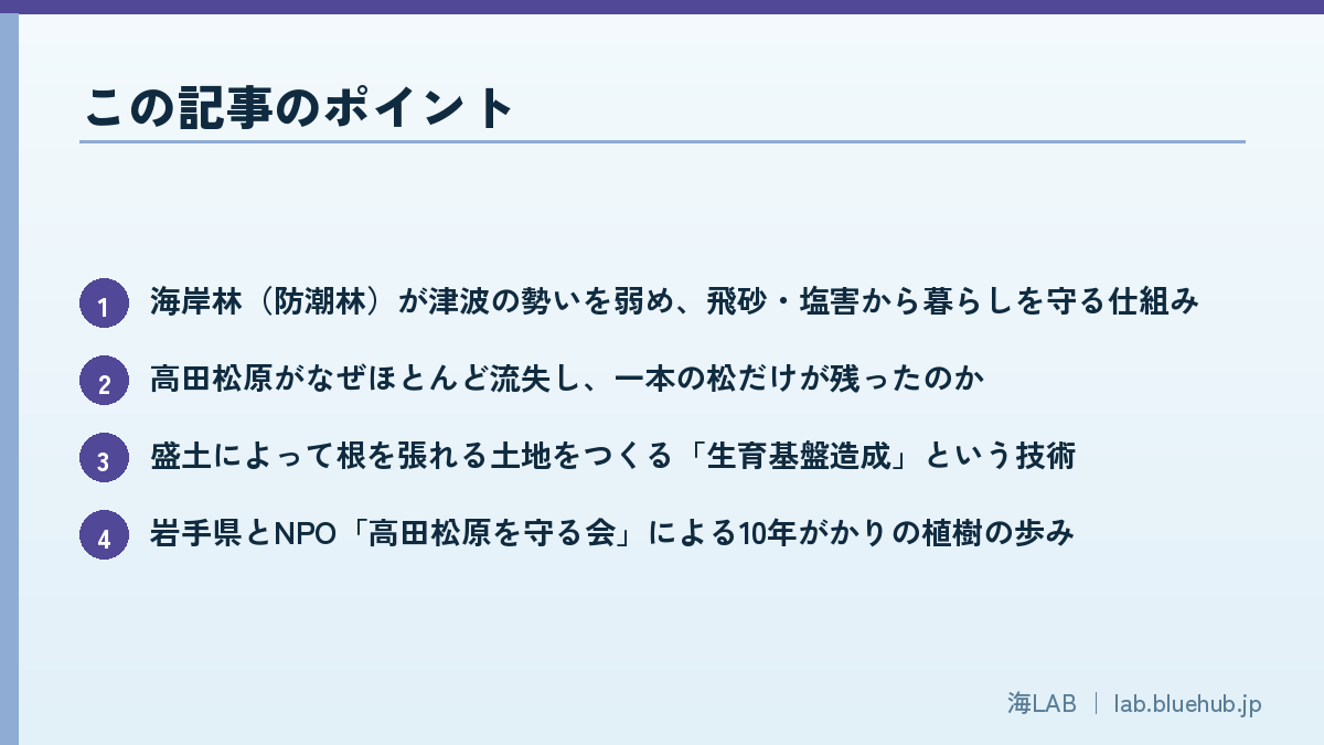 この記事のポイントを箇条書きでまとめた図版