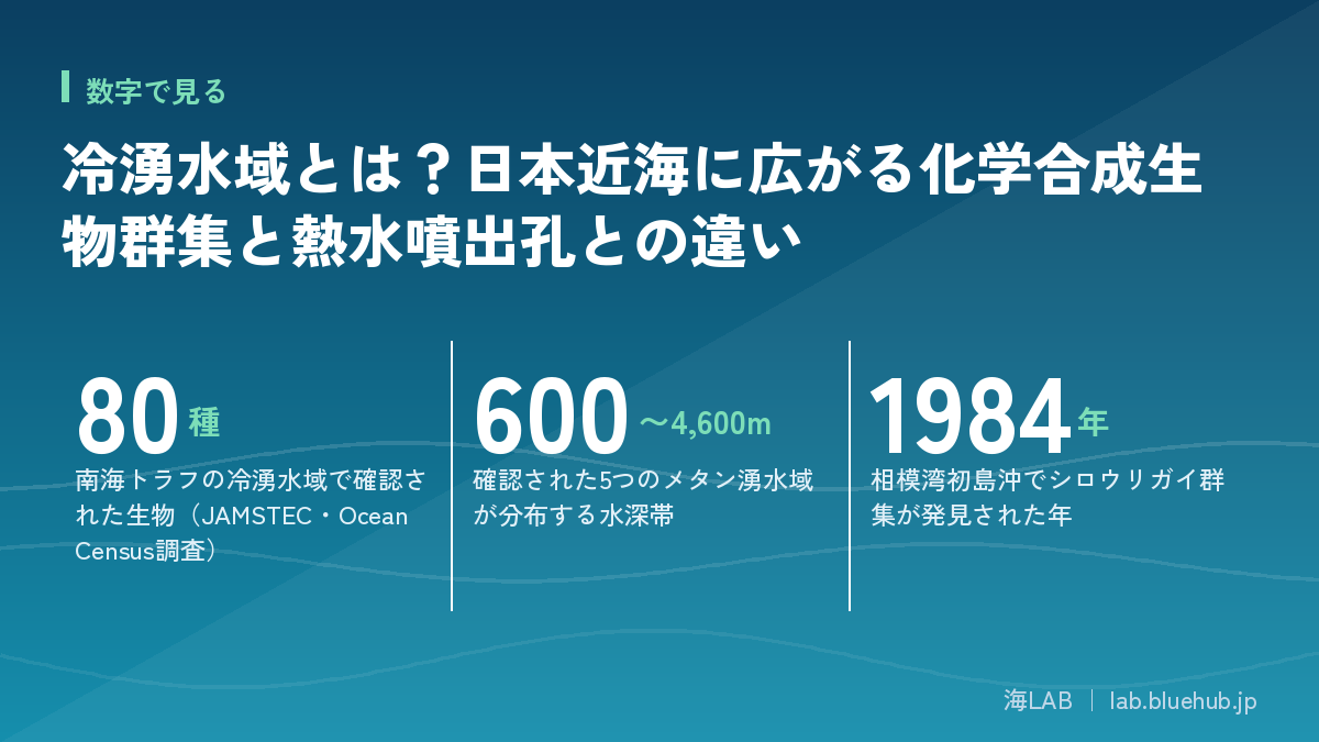 汇总本文三个关键数字的图版