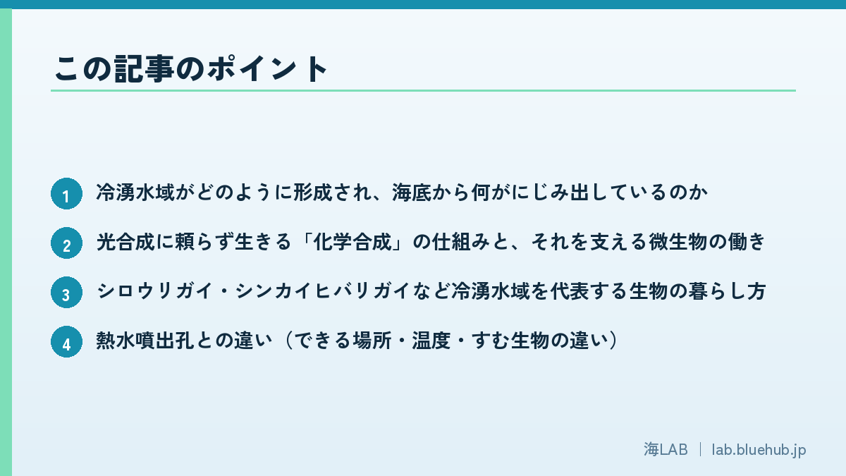 以要点形式汇总本文内容的图版