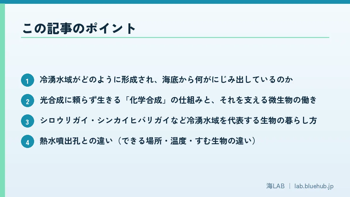 この記事のポイントを箇条書きでまとめた図版