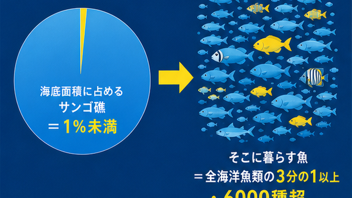 海底のわずか1%未満のサンゴ礁に全海洋魚類の3分の1以上が集まることを、面積と種数の対比で示したフラット図解