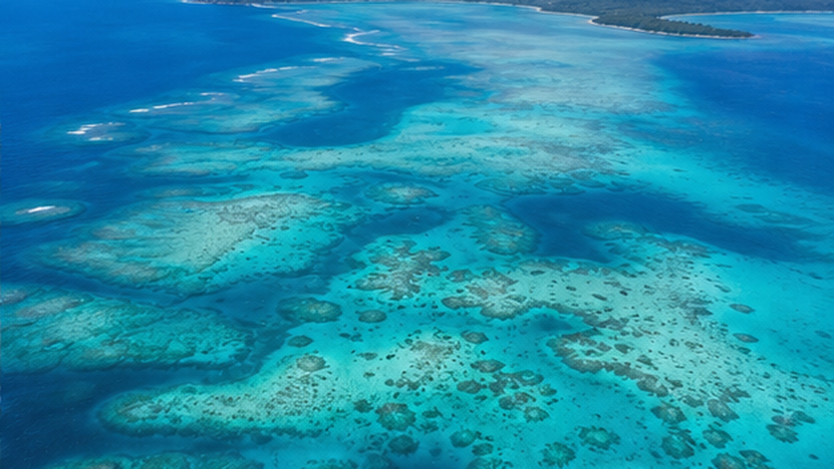 石垣島と西表島の間に広がる石西礁湖のサンゴ礁を上空から見た風景