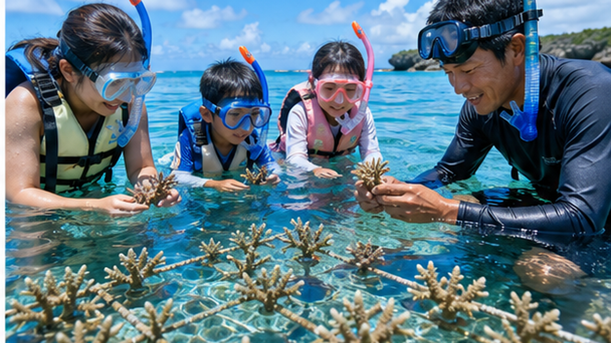サンゴの植えつけ体験に参加する観光客と、育っていく養殖サンゴの様子