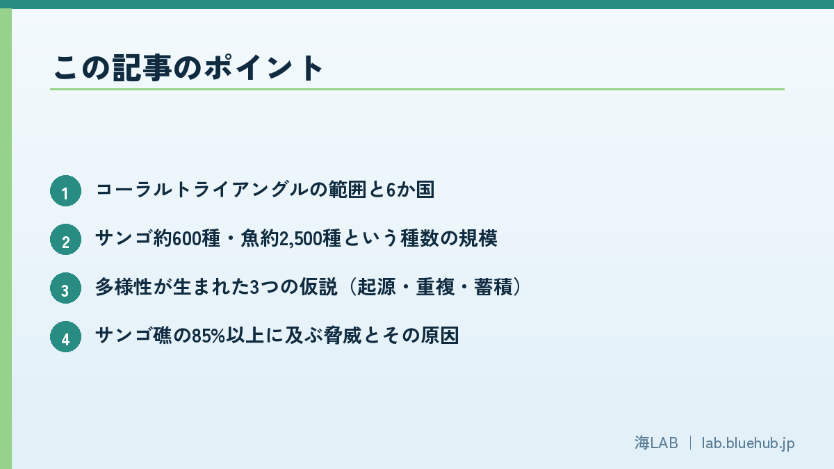 この記事のポイントを箇条書きでまとめた図版