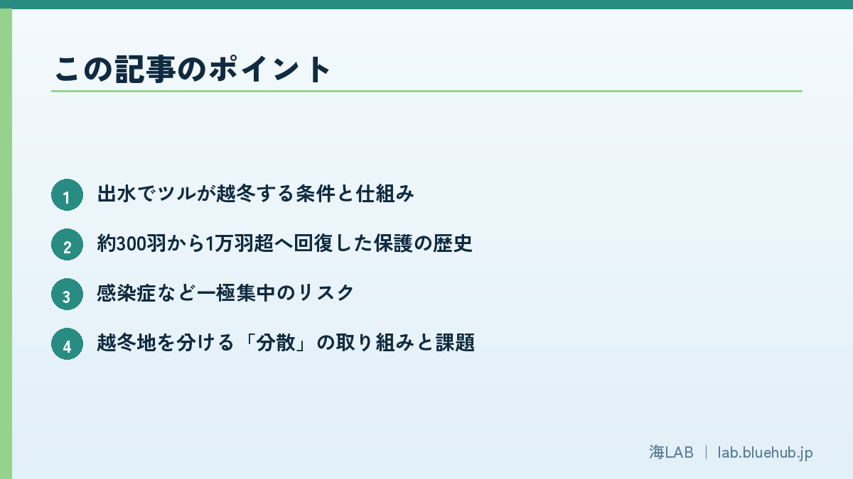 この記事のポイントを箇条書きでまとめた図版