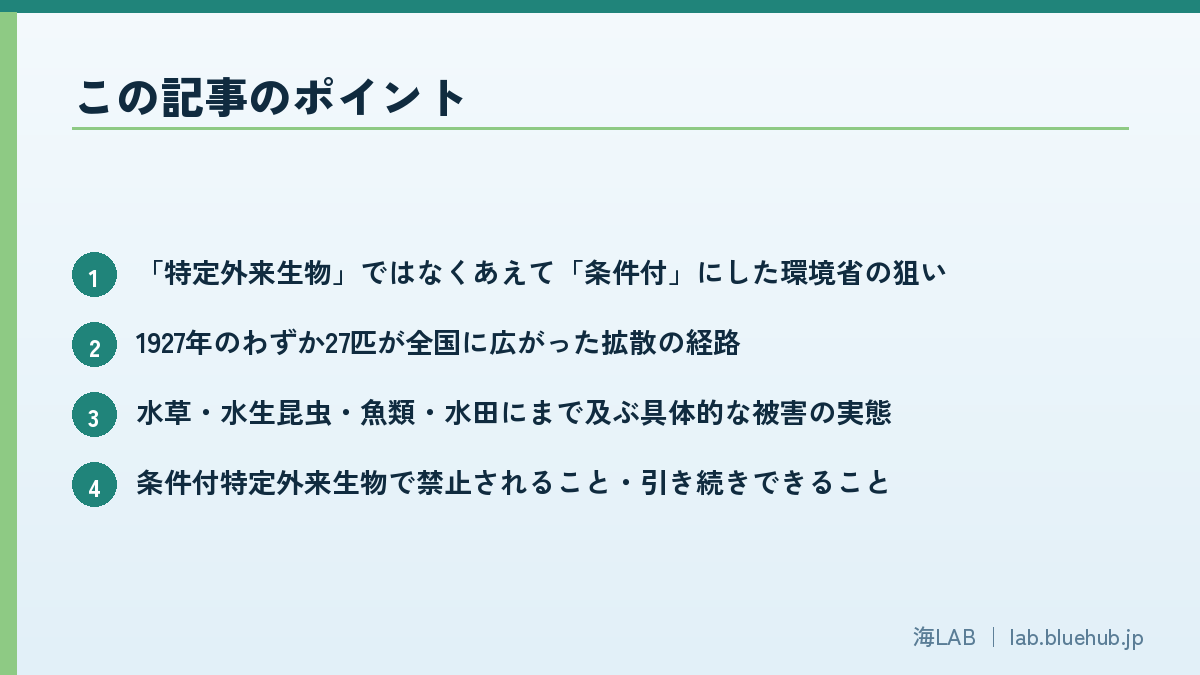 この記事のポイントを箇条書きでまとめた図版
