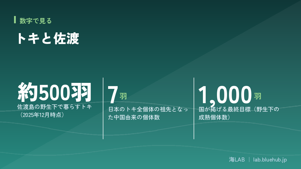 トキと佐渡の要点となる3つの数字をまとめた図版