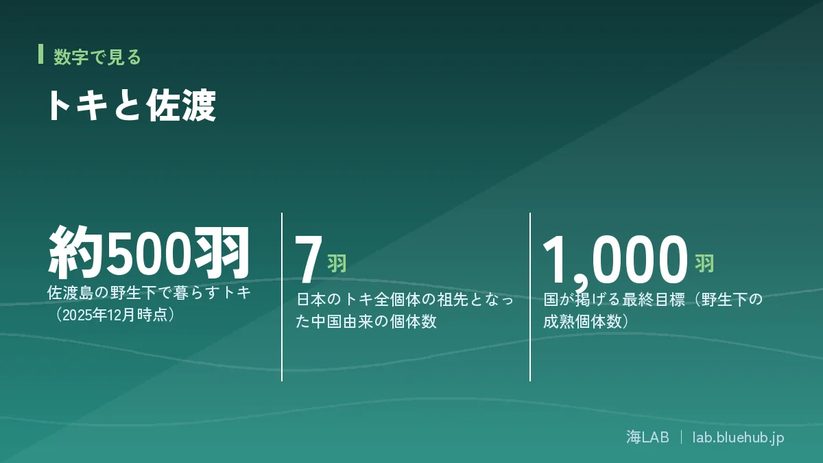 トキと佐渡の要点となる3つの数字をまとめた図版