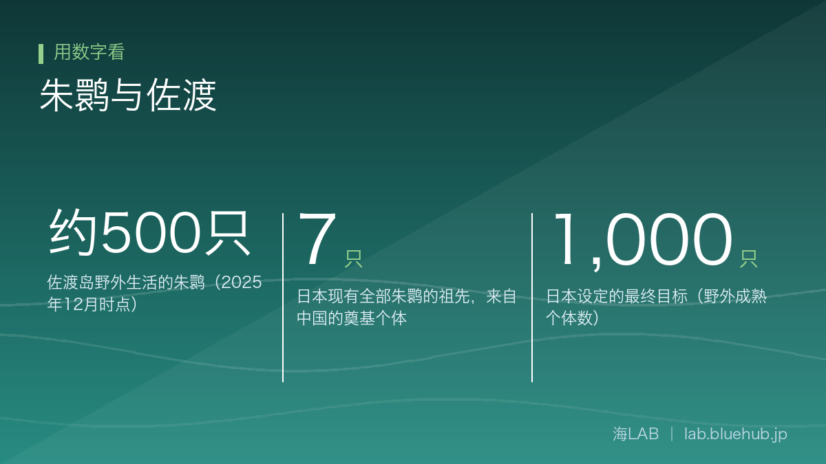 汇总朱鹮与佐渡三个关键数字的图示