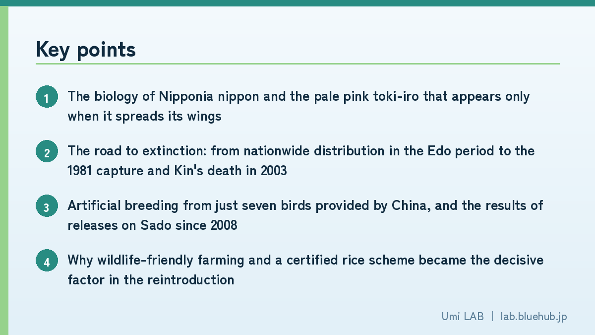 Chart summarising the key points of this article