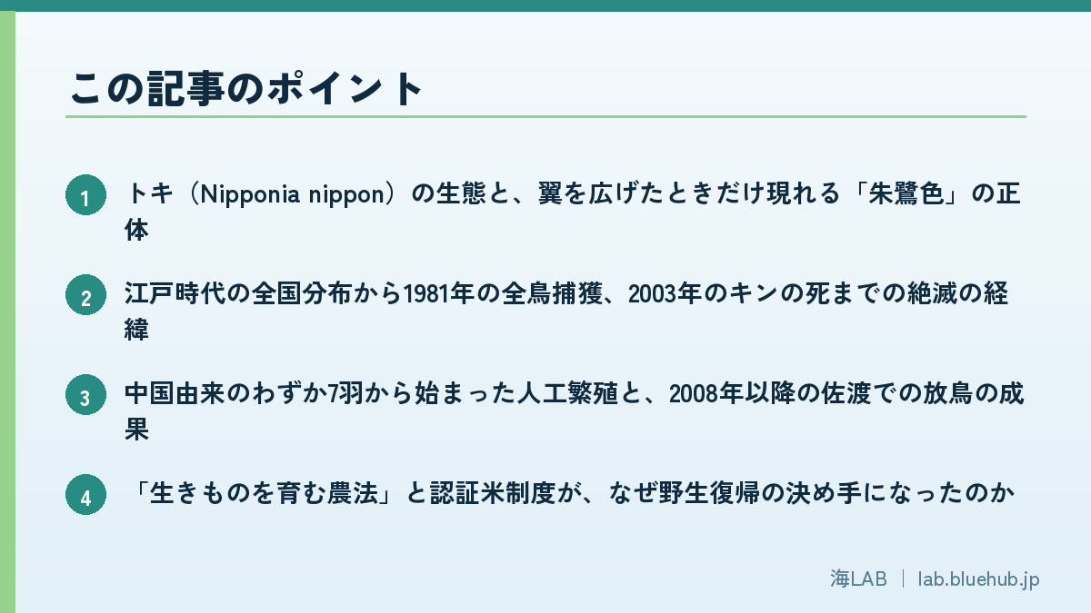 この記事のポイントを箇条書きでまとめた図版