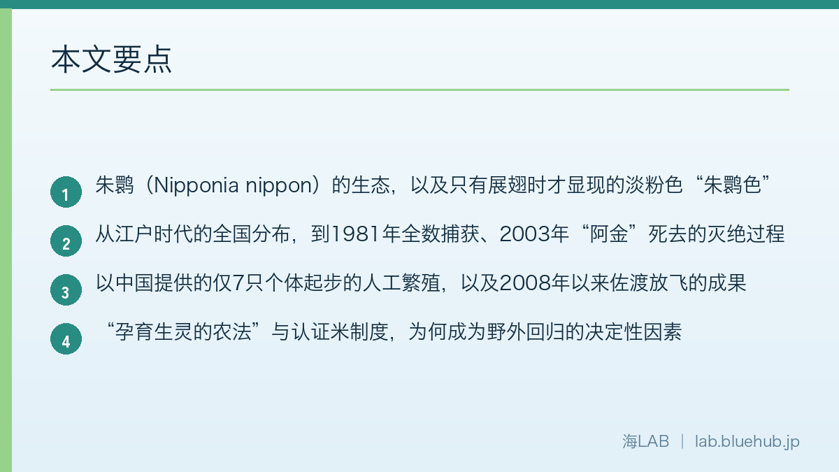 以要点形式汇总本文内容的图示