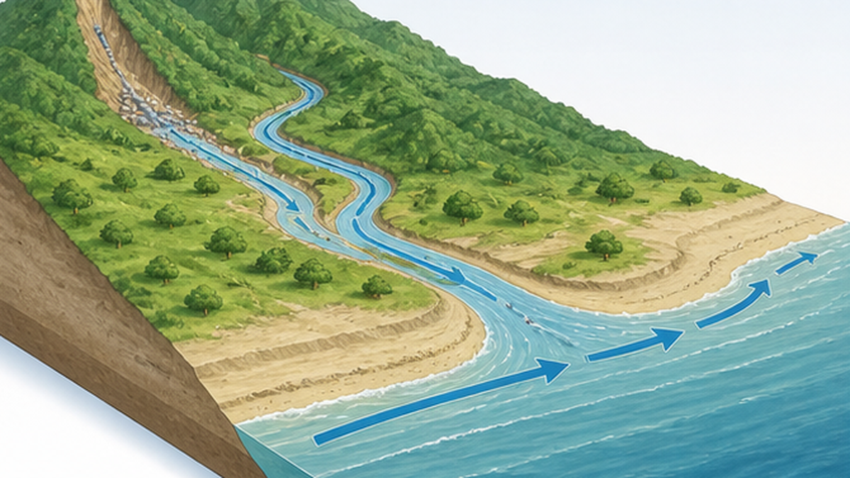 山から川、河口、砂浜へと土砂が運ばれる流砂系の模式図