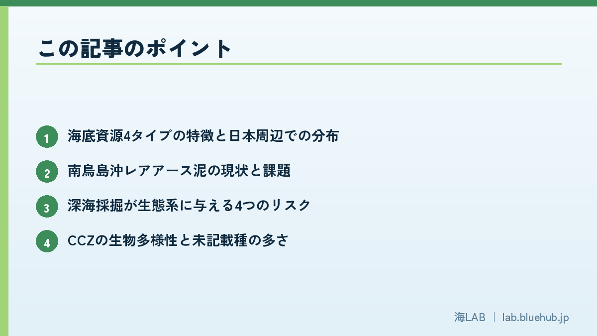 この記事のポイントを箇条書きでまとめた図版