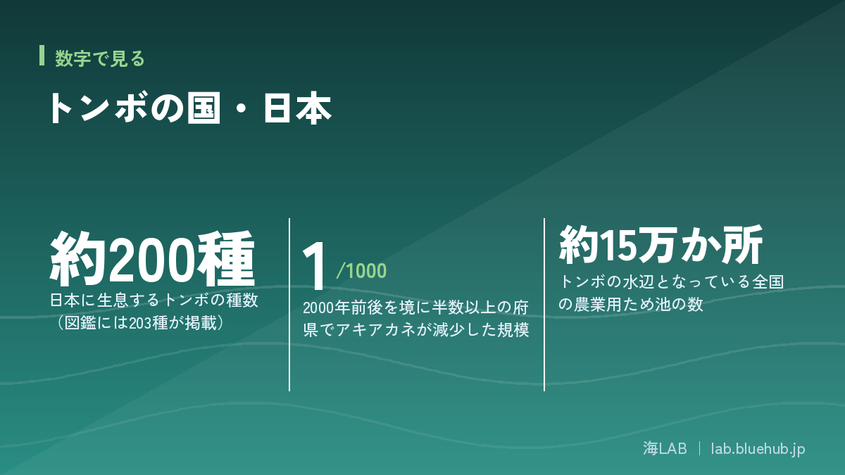 この記事の要点となる3つの数字をまとめた図版