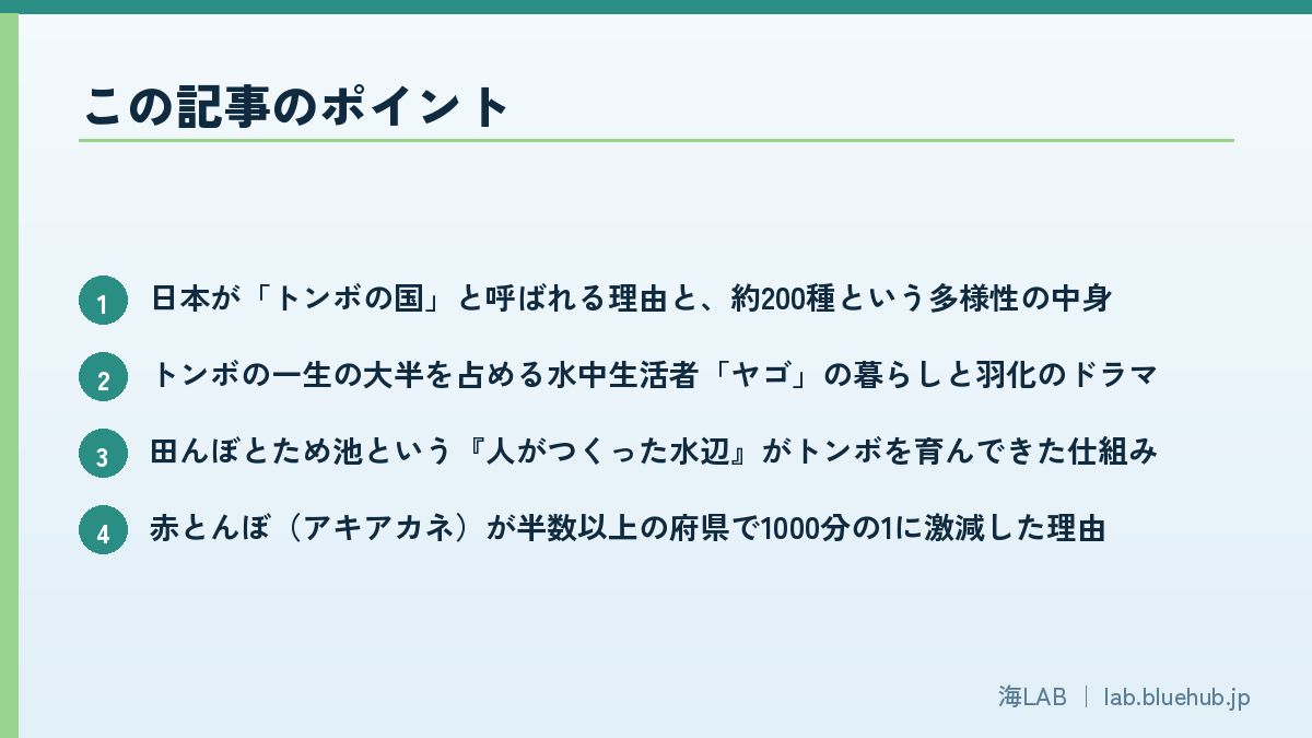 この記事のポイントを箇条書きでまとめた図版