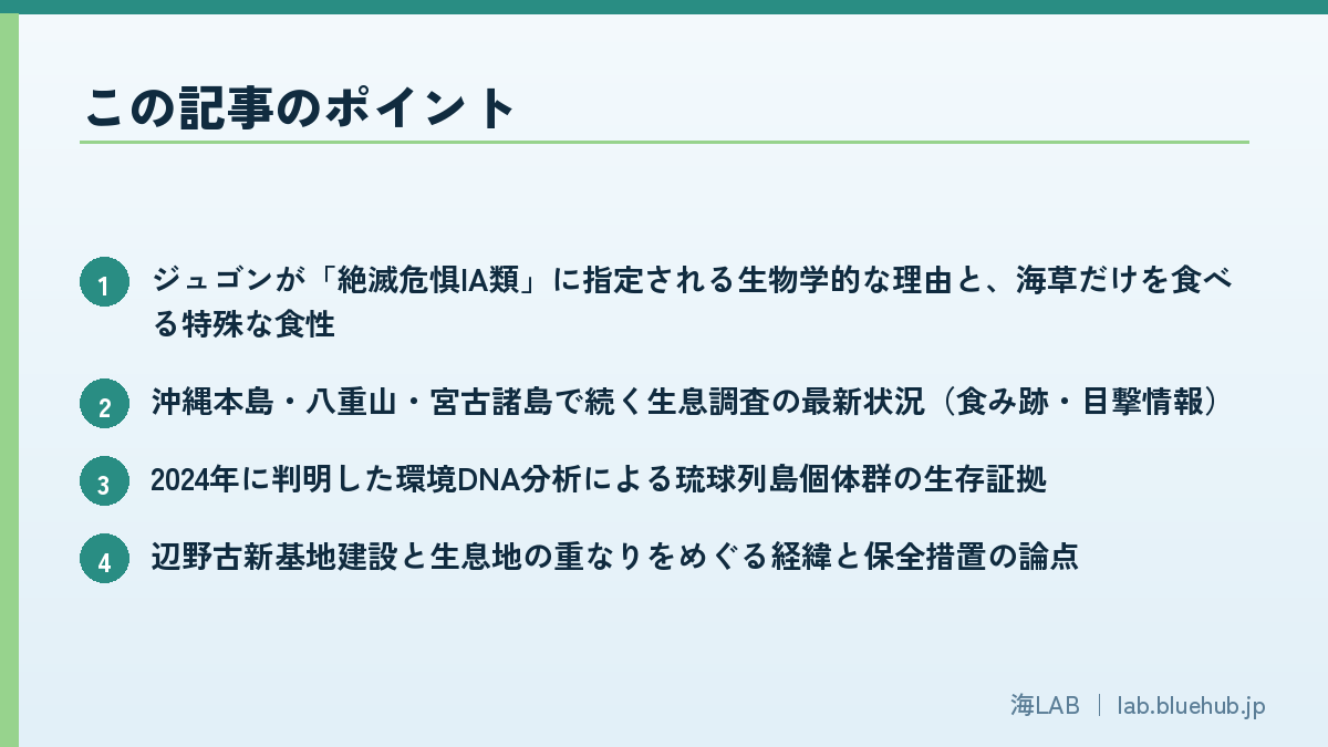 この記事のポイントを箇条書きでまとめた図版